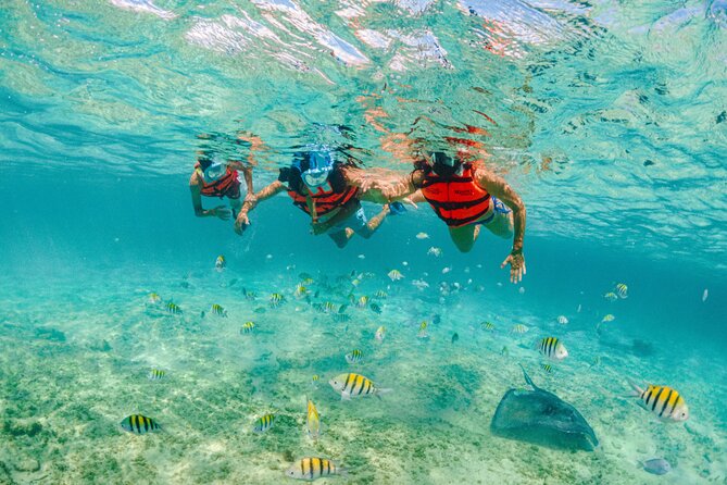 2 Day Combo Tour, Xcaret, Xel-Ha, Xplor and Chichen Itza Option - Chichen Itza: a long day for Maya archaeology