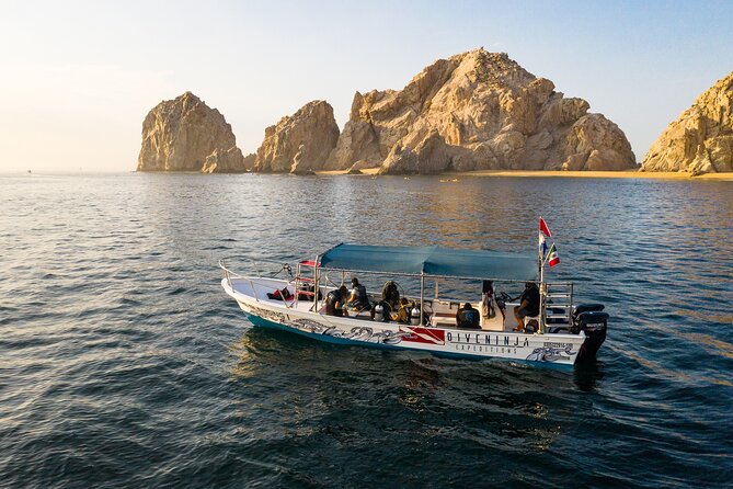 2 Dives in the Cabo Marine Park - Guides who focus on safety and patience