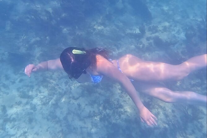 2-Hour Snorkeling in Two Spots of Tulum's Reef - Finding Playa Pescadores Inside Jaguar Park