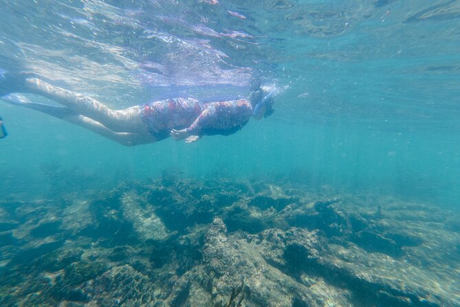 2-Hour Snorkeling in Two Spots of Tulum's Reef - Who Will Enjoy This Two-Hour Tour Most