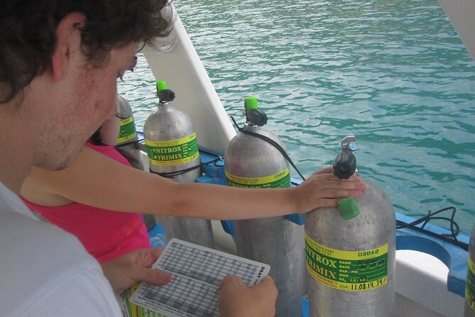 2 Tank Boat Dives for Certified Divers - Roqueta Island’s mix of underwater settings