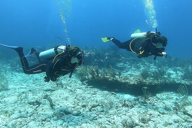 2 Tank Reef Dive in Mexico - A five-minute surface break between sites