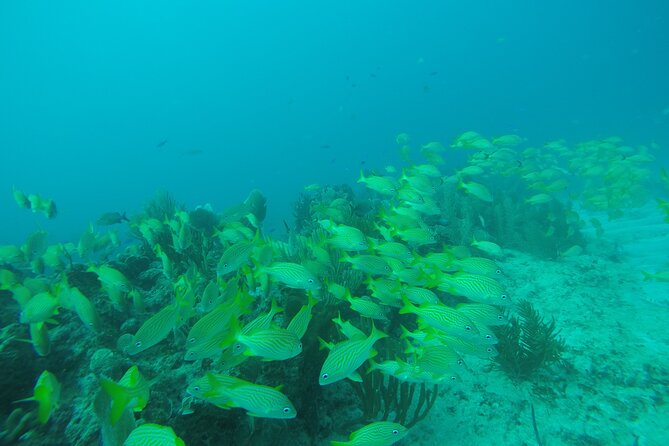 2 Tank Reef Dive in Mexico - Check-in, paperwork, and the equipment check