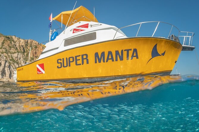 2-Tank Scuba Dive in Cabo San Lucas Reserve for Certified Divers - What happens before you enter the water
