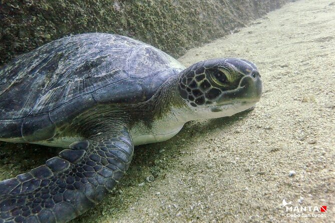 2-Tank Scuba in Marine Reserve and Corridor for Certified Divers - Practical details before you book