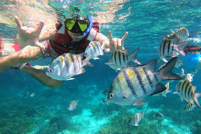 3 Hours VIP Semiprivate Tour Isla Mujeres Full Snorkeling Experience - Why this Isla Mujeres trip works well