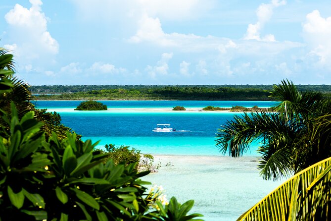 3 hr Pontoon Tour with access to Beach Club and Free Kayaks - Choosing the best departure time