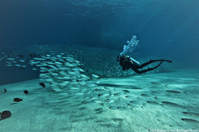 3-Tank Scuba in Marine Reserve and Corridor for Certified Divers - Why three tanks make sense in Cabo
