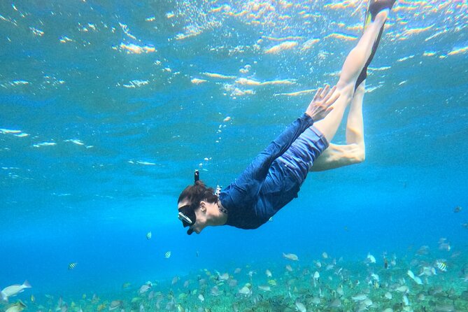 4 Hour Cozumel Turtle Sanctuary Experience on a Luxury Catamarán - Reef snorkeling on Cozumel’s western side