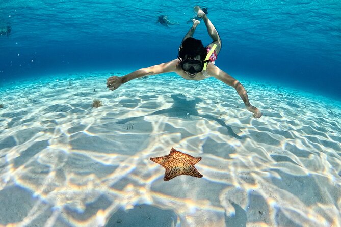 4 Hour Cozumel Turtle Sanctuary Experience on a Luxury Catamarán - The ride home, sunset, and return logistics