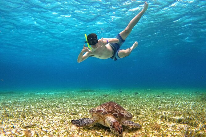 4 Hour Cozumel Turtle Sanctuary Experience on a Luxury Catamarán - What the $77.50 price really covers