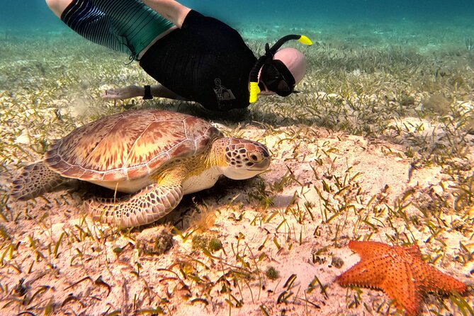 4 Hour Cozumel Turtle Sanctuary Experience on a Luxury Catamarán - The catamaran ride and onboard setup