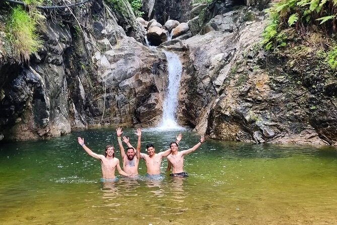 4-Hour Jungle Hike and Waterfall Swim - Into the Palo Maria jungle