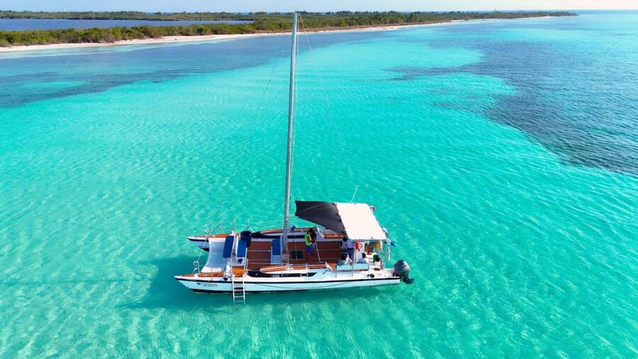 4 Hour Turtle Sanctuary Experience on a Luxury Catamarán - Key points at a glance
