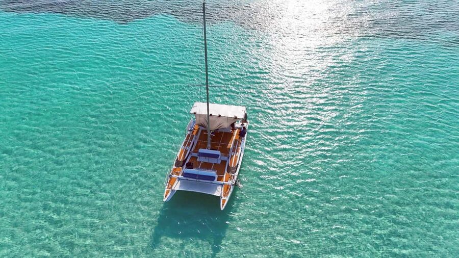 4 Hour Turtle Sanctuary Experience on a Luxury Catamarán - El Cielo and the bright starfish over white sand