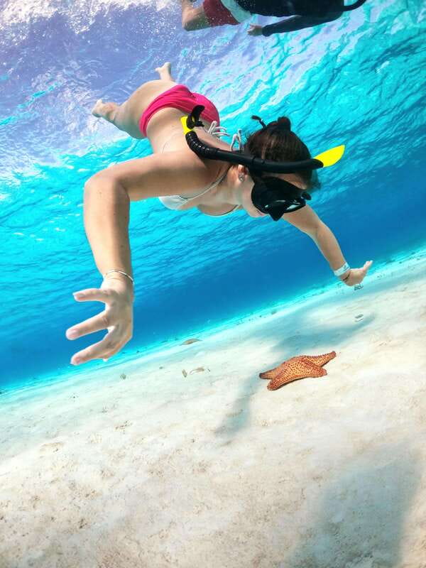 4 Hour Turtle Sanctuary Experience on a Luxury Catamarán - Cielito: the easygoing finish