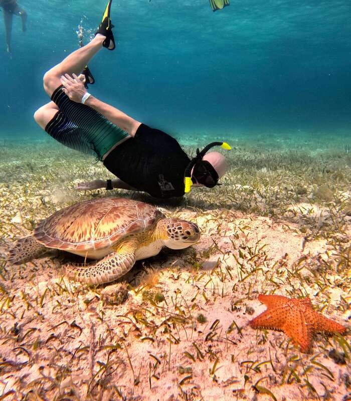 4 Hour Turtle Sanctuary Experience on a Luxury Catamarán - Food, drinks, and the real value of the $78 price