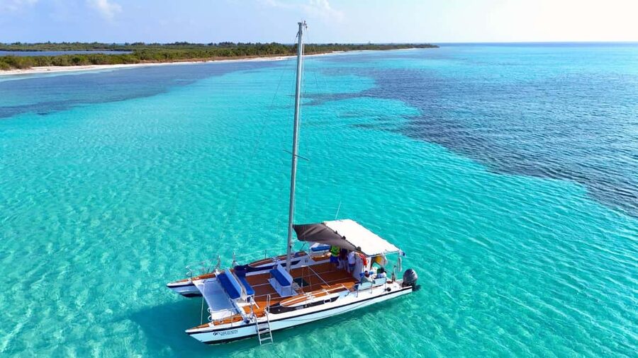 4 Hour Turtle Sanctuary Experience on a Luxury Catamarán - The turtle sanctuary: nature, not a guaranteed show