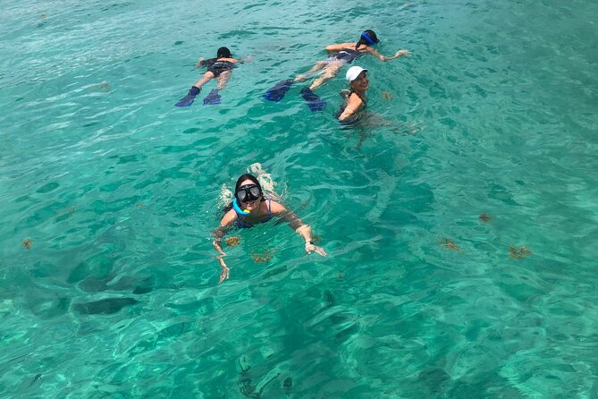 4 hours - Private 48ft Yacht all inclusive in Tulum and Playa del Carmen - Returning to the marina after 45 minutes