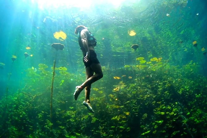 4-in-1 Cenote Tour Guided Experience with Breakfast, Lunch & Wine - Four cenotes, four very different experiences
