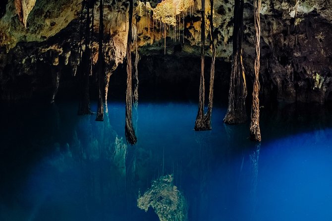 4-in-1 Cenote Tour Guided Experience with Breakfast, Lunch & Wine - Lu’um turns a cavern into a rappel entrance