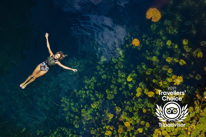 4-in-1 Cenote Tour Guided Experience with Breakfast, Lunch & Wine - What the nine-hour schedule really feels like