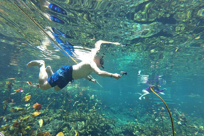 4 Private Cenotes, Zip-Lines, Canoes & Mayan Village with Delicious Lunch - What makes the four cenotes different