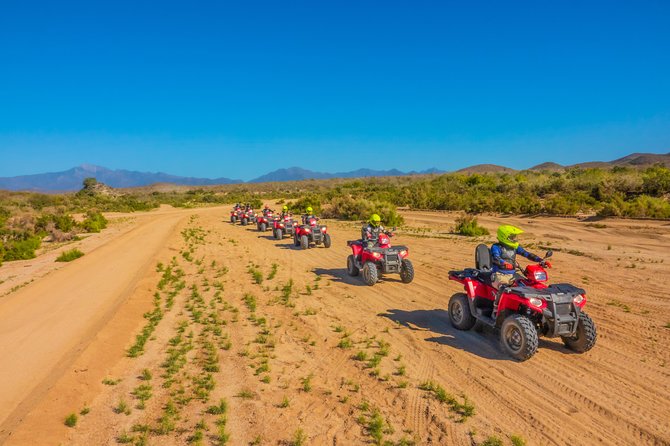 4x4 ATV Adventure with Tequila Tasting and Mexican Buffet Lunch - Lunch with a Pacific view
