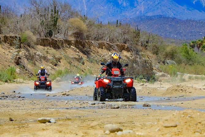 4x4 ATV Adventure with Tequila Tasting and Mexican Buffet Lunch - What the tequila tasting really offers