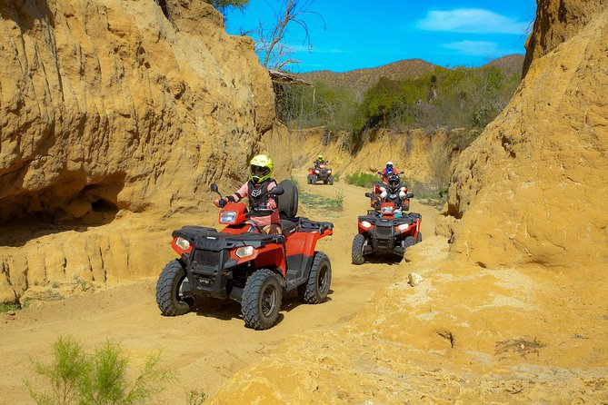 4x4 ATV Adventure with Tequila Tasting and Mexican Buffet Lunch - Timing, transport, and cancellation details