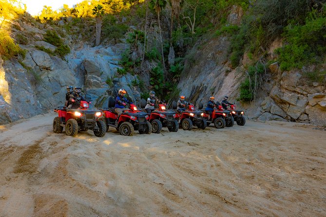 4x4 ATV Adventure with Tequila Tasting and Mexican Buffet Lunch - Cactus, arroyos, and Pacific views