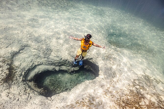 5-in-1 Cancun Snorkeling Tour with Sea Life & Transport Included - Five useful things to know before you book