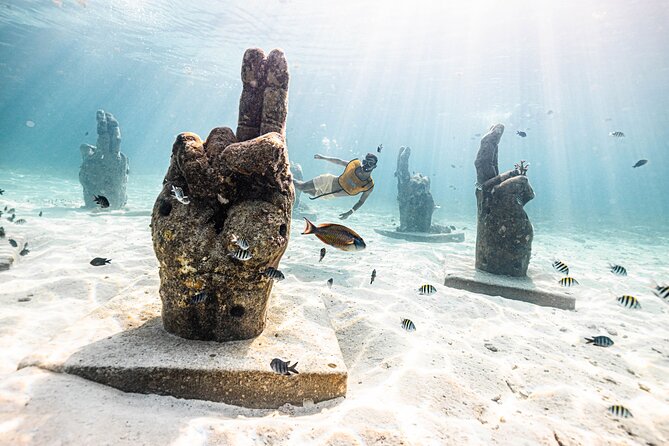 5-in-1 Cancun Snorkeling Tour with Sea Life & Transport Included - Stop three: turtles, rays, and the best wildlife chance
