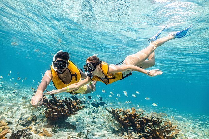 5-in-1 Cancun Snorkeling Tour with Sea Life & Transport Included - Stop four: a shipwreck in clear turquoise water