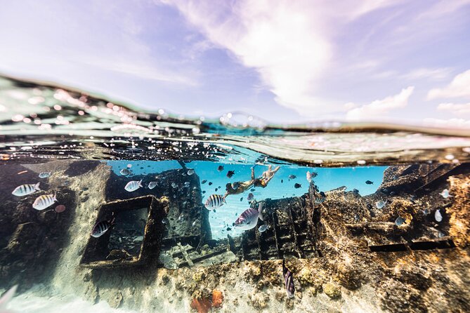 5-in-1 Cancun Snorkeling Tour with Sea Life & Transport Included - Stop five: a cenote to finish the route