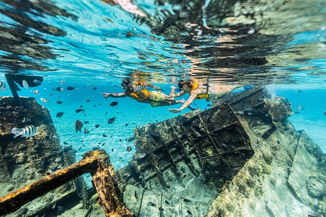 5-in-1 Cancun Snorkeling Tour with Sea Life & Transport Included - What the $79 price really covers