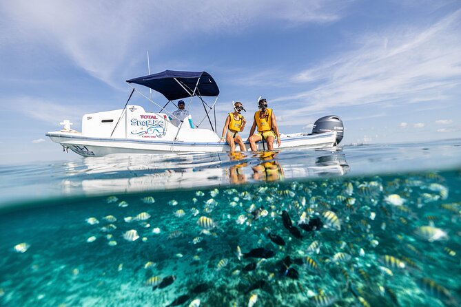 5-in-1 Cancun Snorkeling: Turtles, Reef, Musa, Shipwreck, Cenote - Five underwater scenes in one Cancun morning