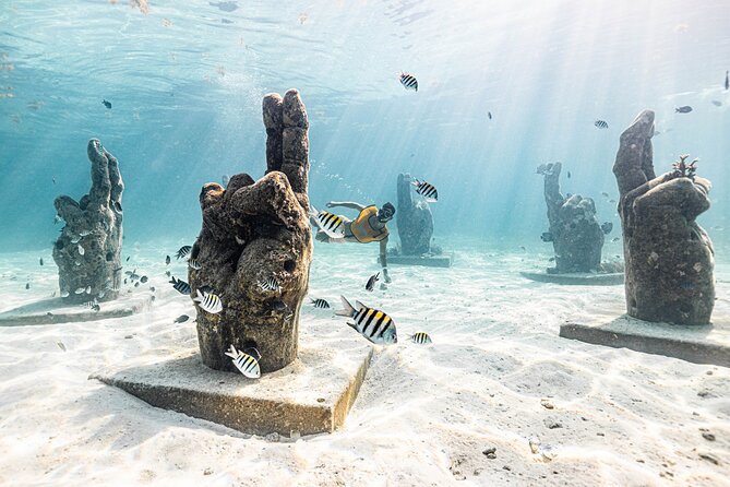 5-in-1 Cancun Snorkeling: Turtles, Reef, Musa, Shipwreck, Cenote - The cenote finish: beautiful, but not everyone’s favorite