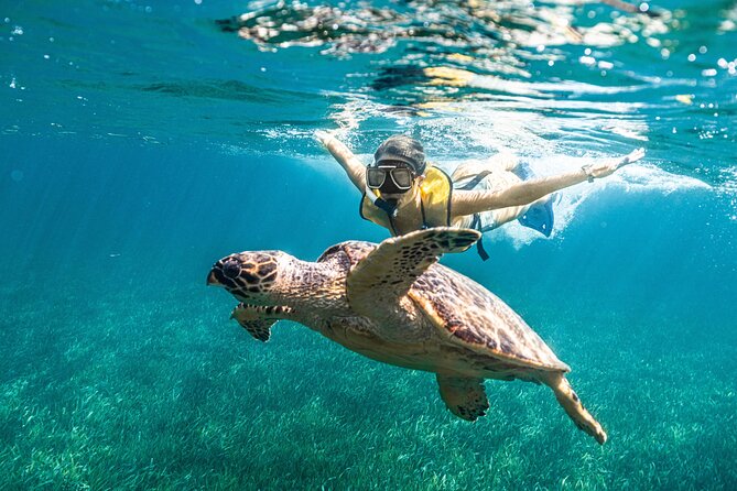 5-in-1 Cancun Snorkeling: Turtles, Reef, Musa, Shipwreck, Cenote - Guides, safety, and first-time comfort