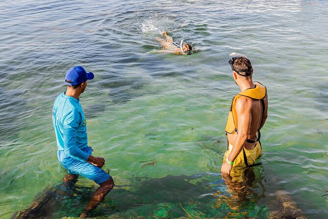5-in-1 Cancun Snorkeling: Turtles, Reef, Musa, Shipwreck, Cenote - Group size, crowding, and the pace of the day