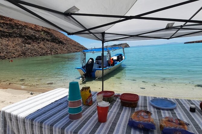 Adventure to Espiritu Santo Island: Snorkel with Sea Lions and Beach - Who will enjoy this Espiritu Santo day trip?