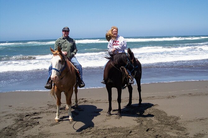 Afro-Mex Village Experience -Horseback Ride -Turtle Hatch & Crocs - The turtle release depends on nature