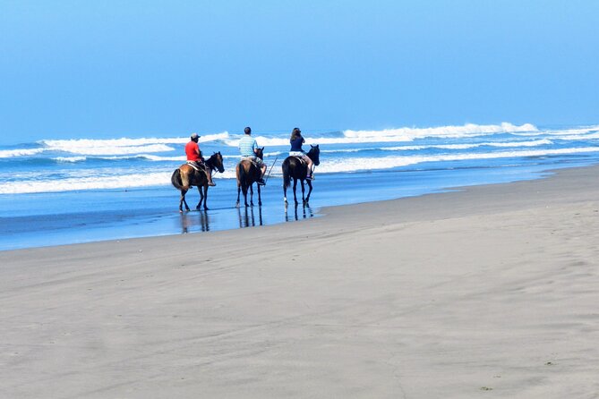 Afro-Mex Village Experience -Horseback Ride -Turtle Hatch & Crocs - The crocodile farm adds a surprising change of pace
