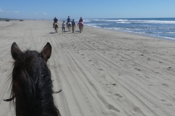 Afro-Mex Village Experience -Horseback Ride -Turtle Hatch & Crocs - Guides shape the experience