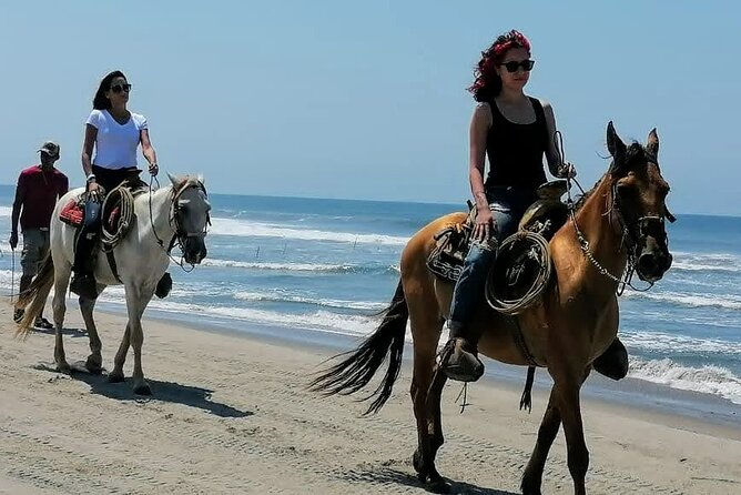 Afro-Mex Village Experience -Horseback Ride -Turtle Hatch & Crocs - The beach ride is the visual high point