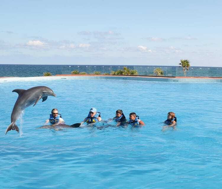 Akumal: Dolphin Encounter - The real cost: $99, plus the photo question