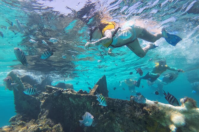 All-Inclusive Isla Mujeres Catamaran with Free Transportation - The sunset ride back to Cancun