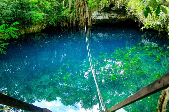 Amazing ATV Tour, Ziplines and Cenote Swim with Lunch and round trip included - Ziplining through the treetops