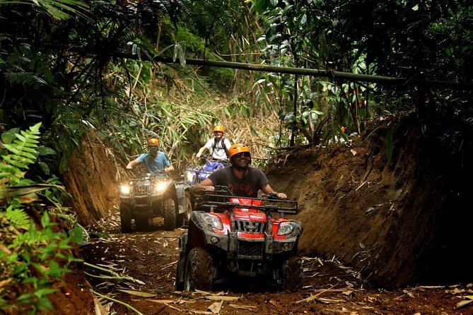 ATV Combo Horseback Riding, ATV, Ziplines, Cenote and Lunch - A gentle horseback ride through the trees