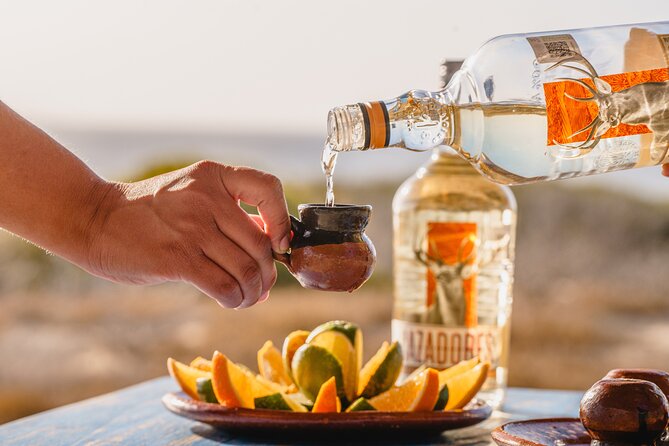 ATV Tour, Camel Ride, Tequila Tasting and Mexican Buffet Lunch - Key details before you book